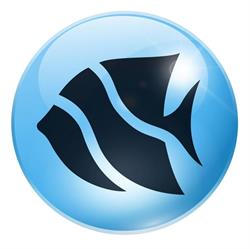 Acquarium Point SRL, Milano orari di apertura