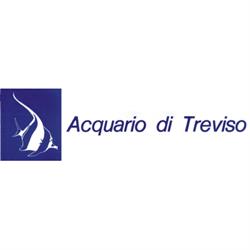 Acquario di Treviso, orari di apertura