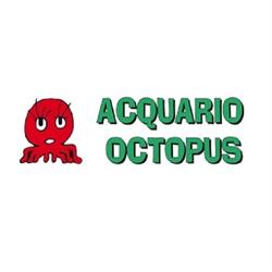 Acquario Octopus, Quart orari di apertura