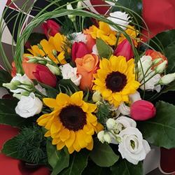 Adri Fleur Di Signorino Tiziana, Rivarolo Canavese orari di apertura