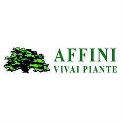 Affini Vivai, San Martino dall'Argine orari di apertura