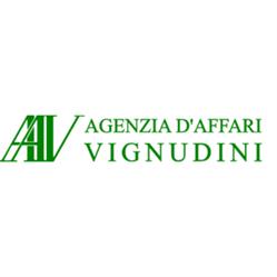 Agenzia D'Affari Vignudini, Pavullo nel Frignano orari di apertura