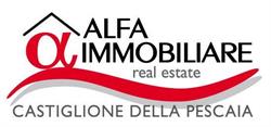 Agenzia Immobiliare Alfa Di Donati Simone Simone, Castiglione della Pescaia orari di apertura