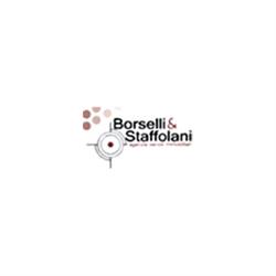 Agenzia Immobiliare Borselli e Staffolani, Castelfidardo orari di apertura