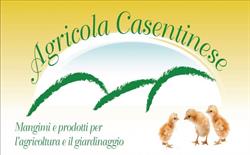 Agricola Casentinese Bassi SRL, Castel San Niccolò orari di apertura