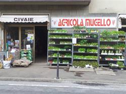 Agricola Mugello Sas, Dicomano orari di apertura