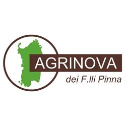 Agrinova Di Pinna Ignazio SAS, Oristano orari di apertura