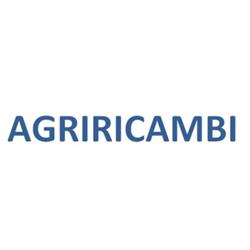 Agriricambi di Vito Daidone, Paceco orari di apertura