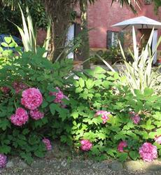 Agriturismo Floriani Di Compagnucci Carla, Macerata orari di apertura