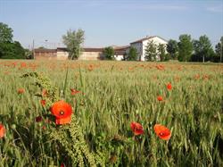 Agropolis (soc.coop.r.l.), Cremona orari di apertura