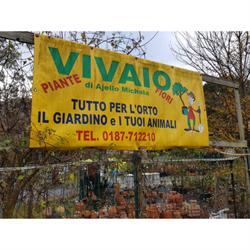 Ajello Michela Vivaio, La Spezia orari di apertura