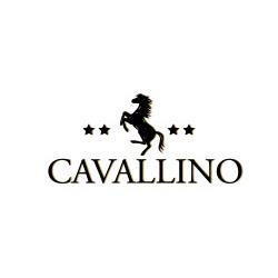 Hotel Cavallino, Faenza orari di apertura