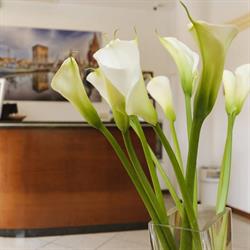 Hotel Boccaccio, Cervia orari di apertura