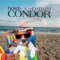 Albergo Condor, Rimini orari di apertura