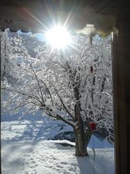 Albergo Gasthaus Lysjoch, Gressoney-La-Trinité orari di apertura