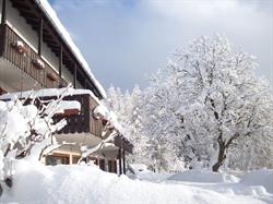Albergo Ganzaie Ville di Fiemme, Daiano - Orari di apertura