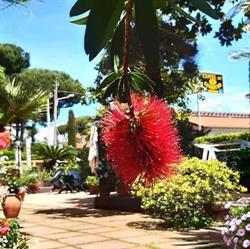 Albergo Hotel Giardino Camaiore, Lido Di Camaiore - Orari di apertura