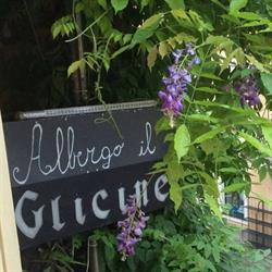 Albergo Il Glicine, Noli orari di apertura