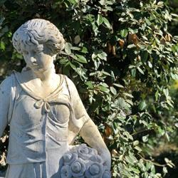 Albergo Locanda Delle Dune, Bellaria orari di apertura