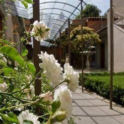 Albergo Orto De Medici, Firenze orari di apertura