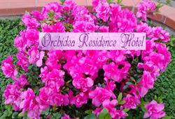Albergo Orchidea, Finale Ligure orari di apertura
