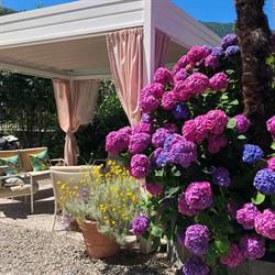 Ristorante e Albergo Antica Stallera***, Cannobio orari di apertura