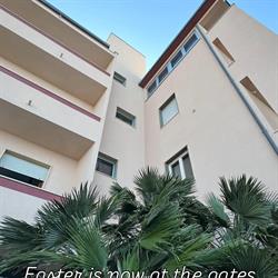 Hotel Il Delfino, San Vincenzo orari di apertura
