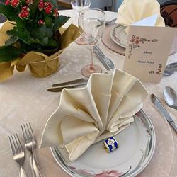 Albergo Rosy, Rimini orari di apertura