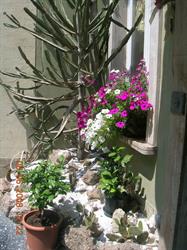 Albergo Torino, Albenga orari di apertura