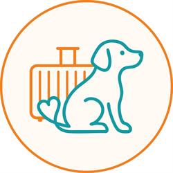 Hotel Virginia Pet Hotel, Rimini orari di apertura