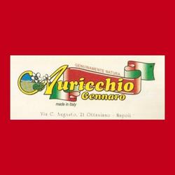 Alimentari Auricchio sas, Ottaviano orari di apertura