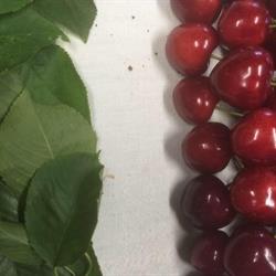 Alimentari Gambaretto Di Gambaretto Alberto e C. S.d.f., Bologna orari di apertura