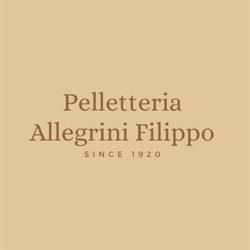 Allegrini Filippo, Lucca orari di apertura