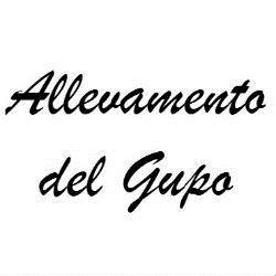 Allevamento del Gupo, Trevignano orari di apertura