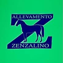 Allevamento Di Zenzalino (Srl), Copparo orari di apertura