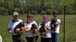 Allevamento di Cani Casa Gino di Crescimbeni Mauro & C., Gorla Minore orari di apertura