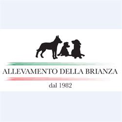 Allevamento della Brianza, Seregno orari di apertura