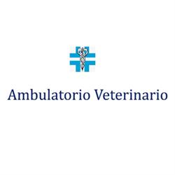 Ambulatorio Veterinario Altamura Mengani Piangerelli, Ancona orari di apertura