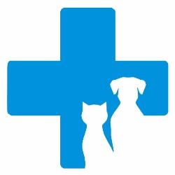 Ambulatorio Veterinario Associato Bo Ferri Bo, Collegno orari di apertura
