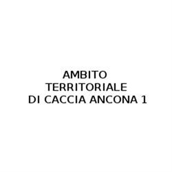 Ambito Territoriale di Caccia Ancona 1, Arcevia orari di apertura