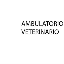 Ambulatorio Veterinario Dottor Lelio Benedini, Arzignano orari di apertura