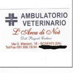 ambulatorio veterinario, Scafati orari di apertura