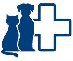 Ambulatorio Veterinario Nordest - Angelini , Moreale & Siminica, Udine orari di apertura