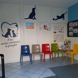 Ambulatorio Veterinario Associato, Cislago orari di apertura
