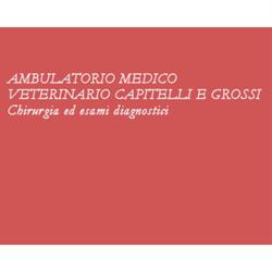 Ambulatorio Medico Veterinario Capitelli & Grossi, Vigevano orari di apertura
