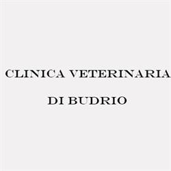Clinica Veterinaria di Budrio, orari di apertura
