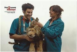 Ambulatorio Veterinario Dr.ssa L. Zamboni, Castel San Pietro Terme orari di apertura