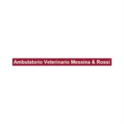 Ambulatorio Veterinario Associato Dott.ssa Messina - Dr. Rossi, San Giuliano Terme orari di apertura