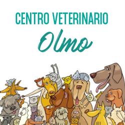 Centro Veterinario Olmo, Martellago orari di apertura