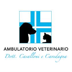 Ambulatorio Veterinario Casalloni-Casu-Cavedagna-Manunta-Montaldo, Sassari orari di apertura